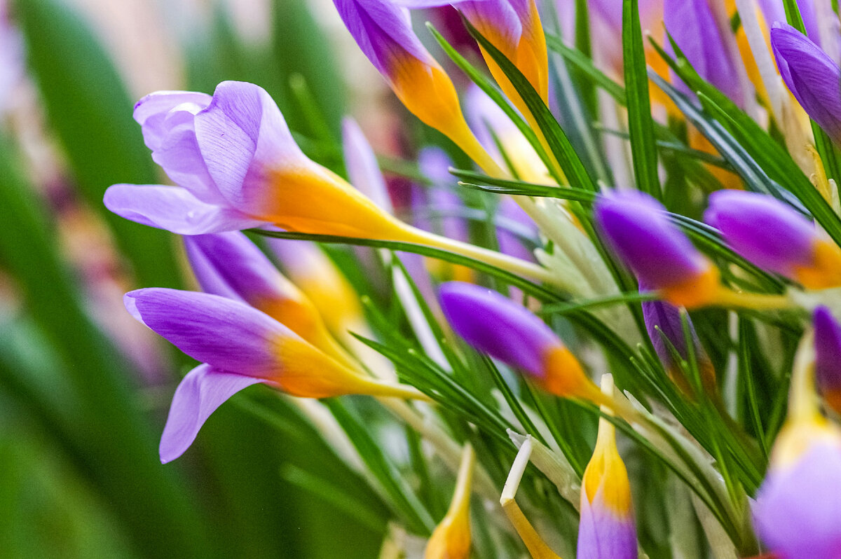 Картинка с бесплатного фотостока https://unsplash.com, автор Yoksel 🌿 Zok