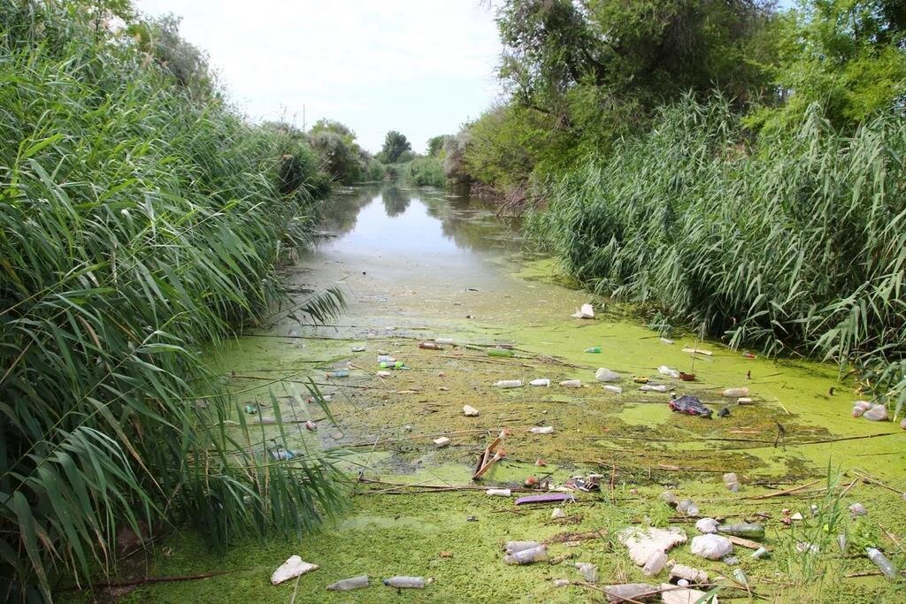 Казачий ерик в Астрахани, так и не расчищенный по нацпроекту «Экология ...