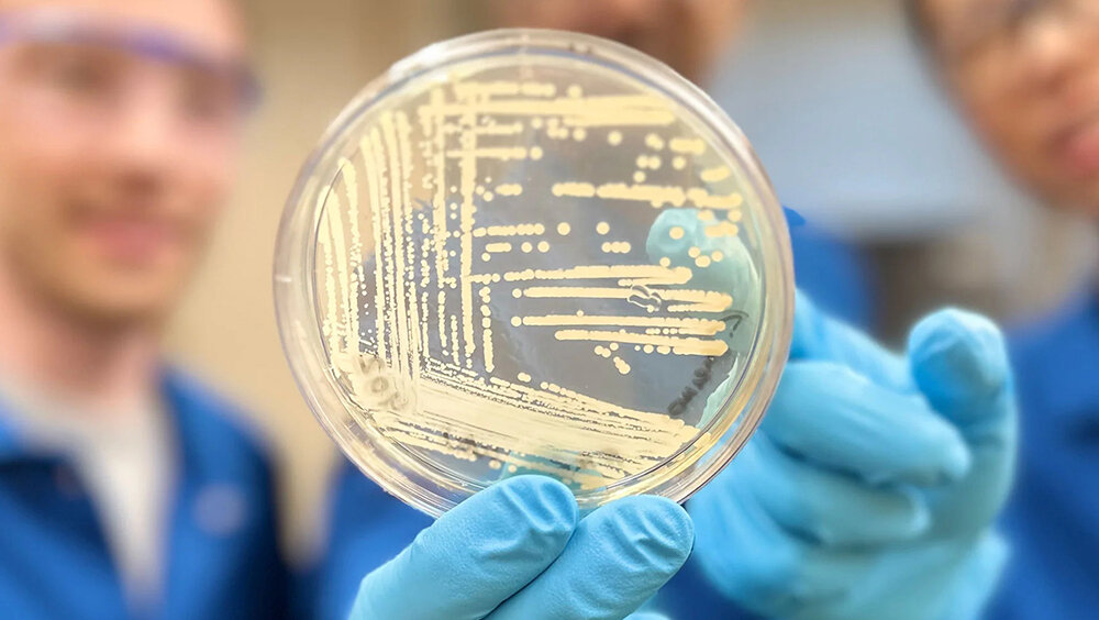    Фото: Myers Research Group