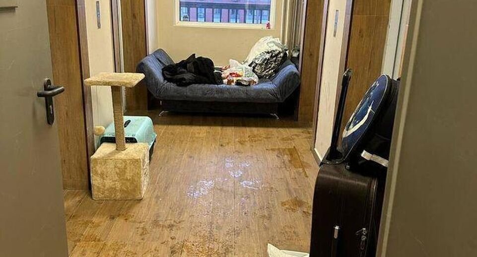    Фото: прокуратура Москвы