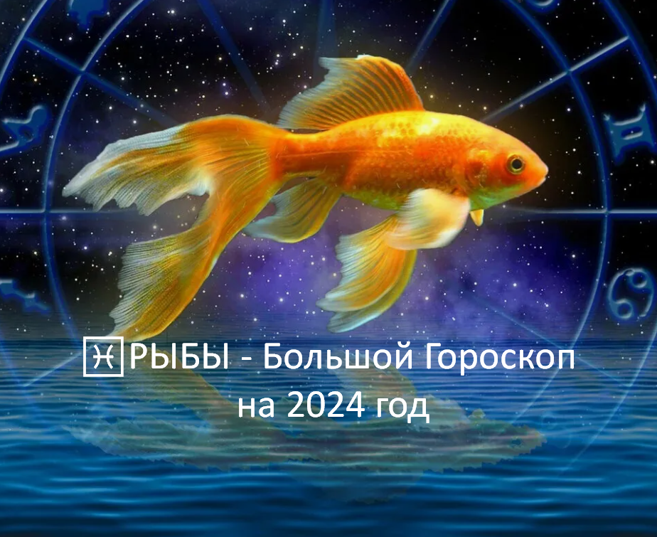 Фото из открытого источника