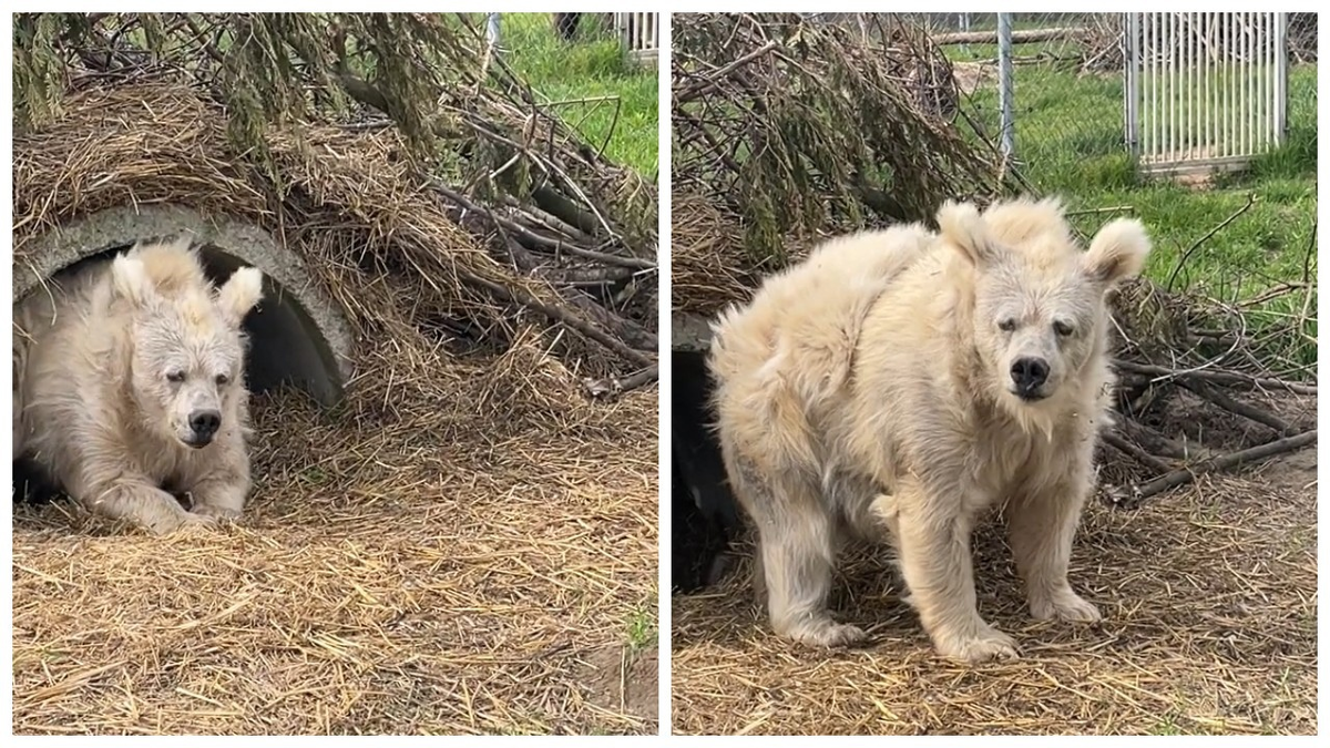 что вы сделаете в первую очередь. мотивация ступеньки. что вы сделаете в первую очередь. шуточные психологические тесты. первым делом марка дикси.