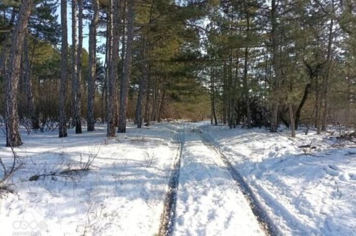 Источник фото: пресс-служба правительства РО