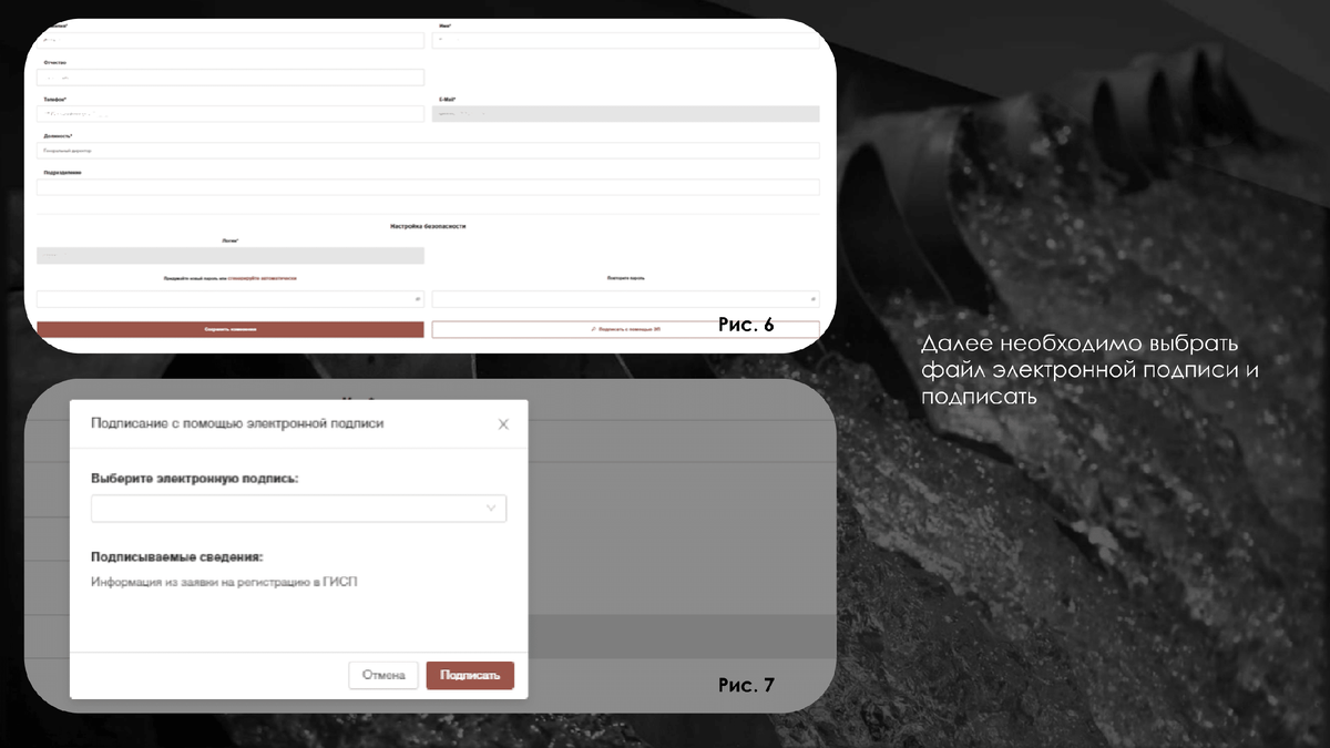 Заполнение заявки на КЭР в системе ГИСП | Экология ПРАВО | Дзен