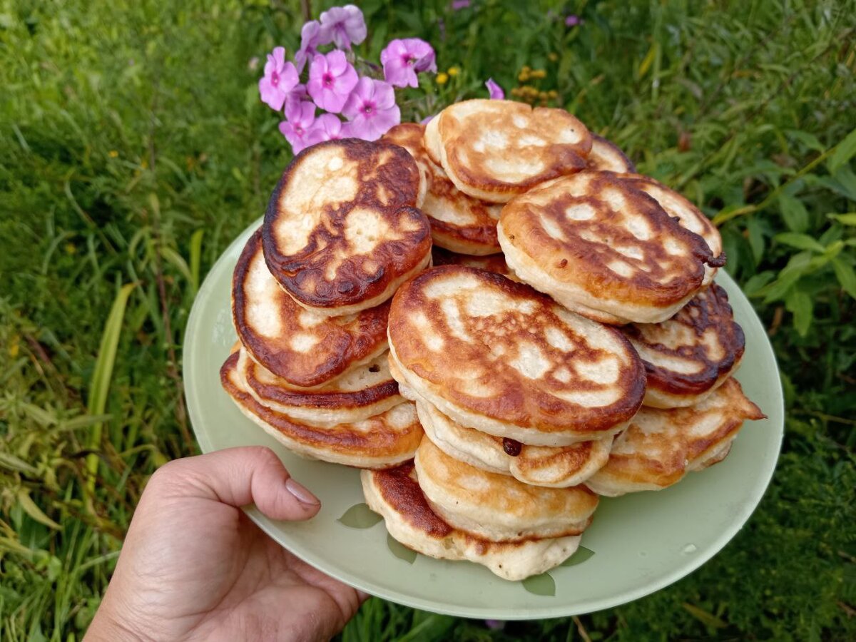 Секреты пышных оладьев. Готовлю только так и оладушки получаются вкусными,  а не резиновыми | Виктория Радзевская - Дачные секреты | Дзен