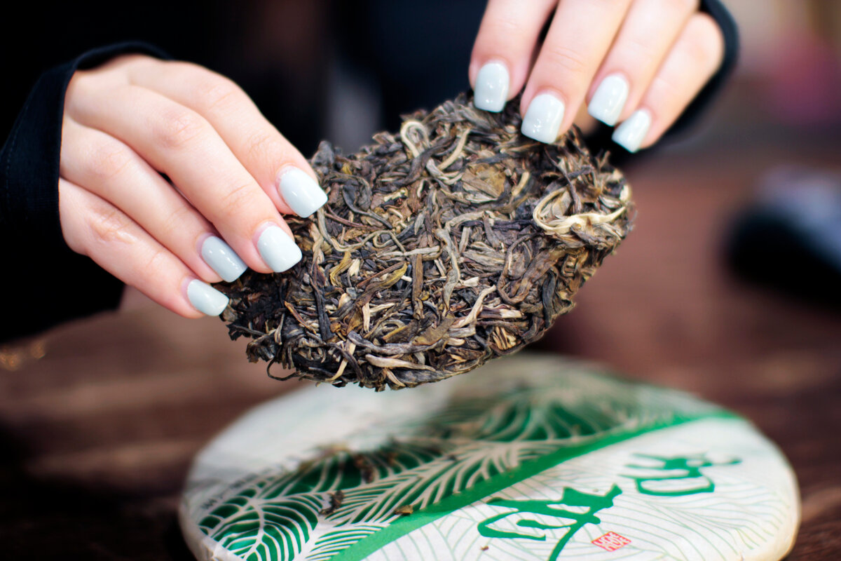 Шен пуэр "Тропический лист", 2022 гол