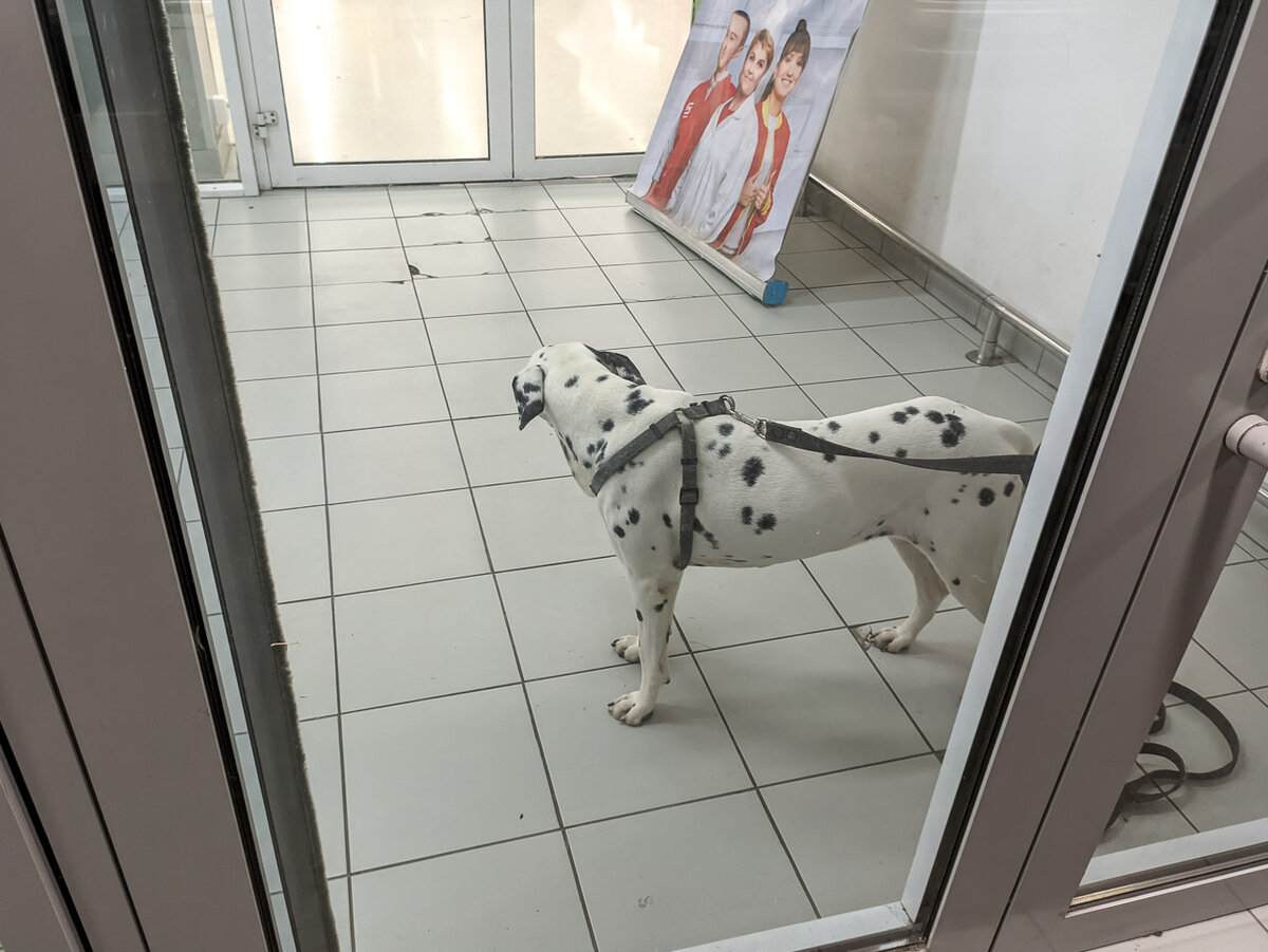 Тихорецк. В «Магните».