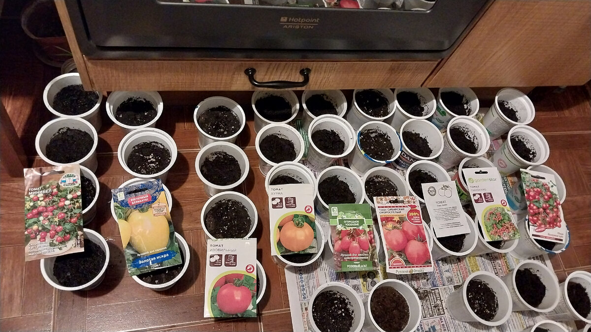 Это фото от 11 февраля 2024 г