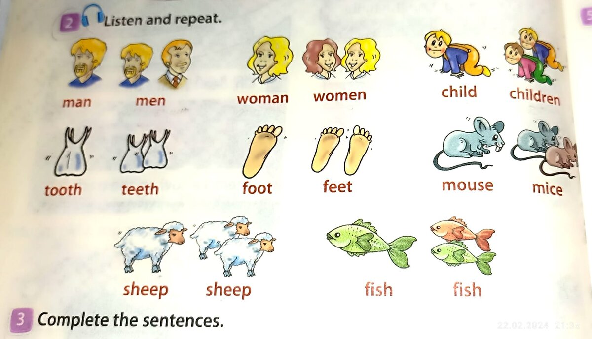 Множественное число в английском для детей. Мн ч сущ в английском языке исключения. Множественное число имен существительных в английском исключения. Множественное число существительных в английском языке правило. Правило образования множественное число англ яз.