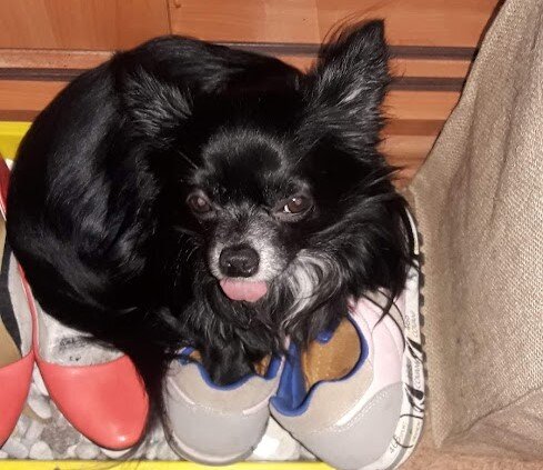 "Грязное место"