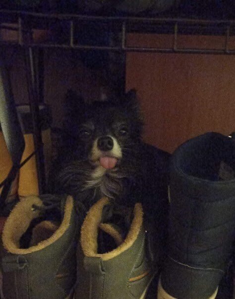 "Самое грязное место"