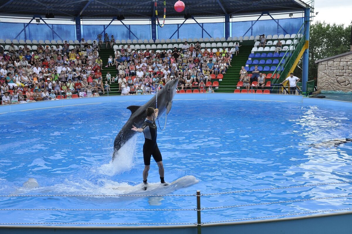 Адлерский дельфинарий