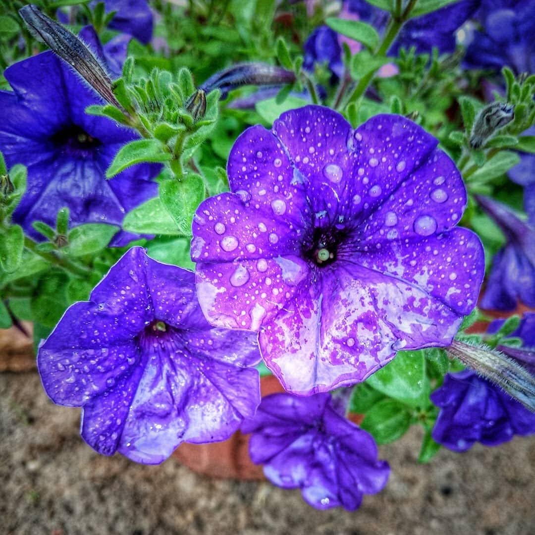 ( фото автора)