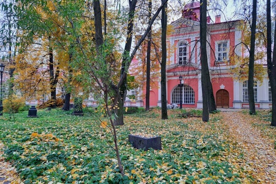 Суровый питерский климат — по большей части миф
