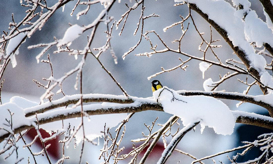 Фото: ru.freepik.com