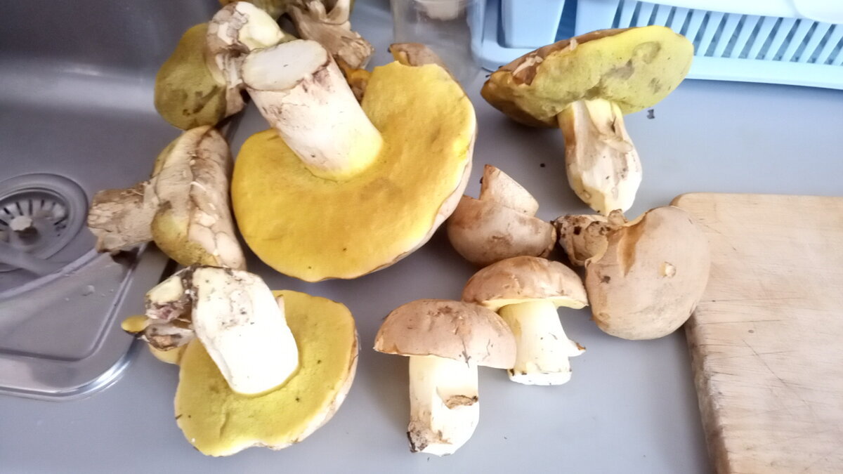 Автор фото Бредпенсионер. 