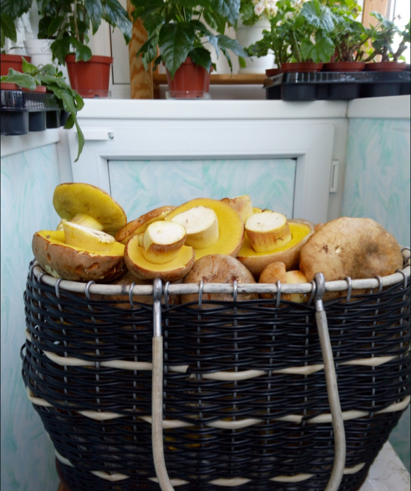 Автор фото Людмила Скупченко