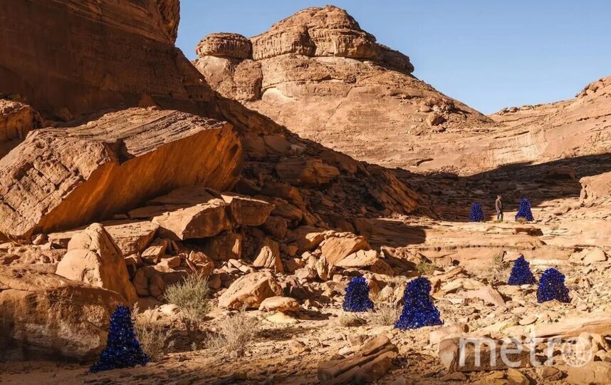    Неопознанные растения, которые так никто никогда и не опознает.Desert X AlUla 2024.