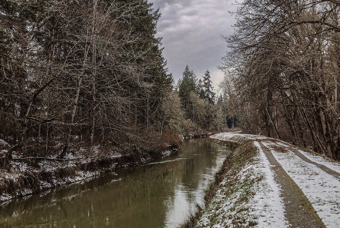 Вода затопила несколько километров дорог.  Фото: Фото с сайта unsplash.com
