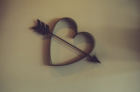 Изображение из открытого источника. Unsplash