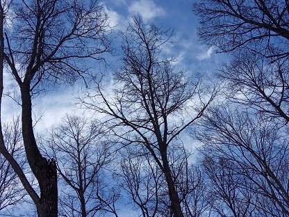 Фотография из личного архива автора