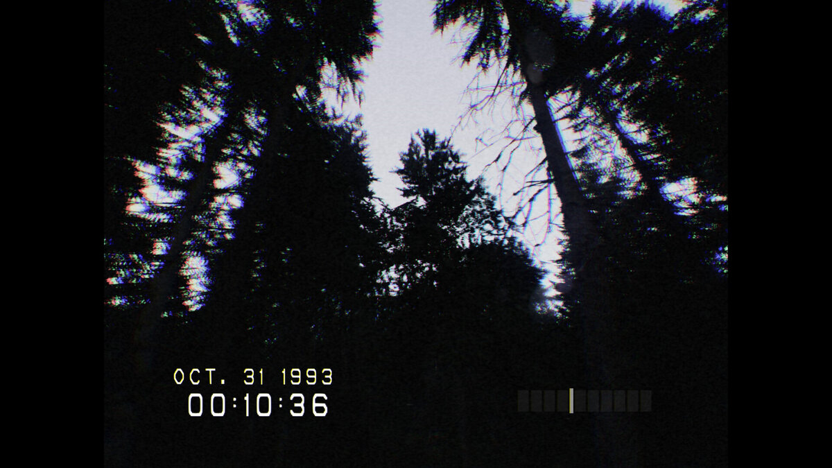 Приветствую тебя читатель, в этой статье, хочу поделиться впечатлениями об инди-хорроре, Don't scream. 