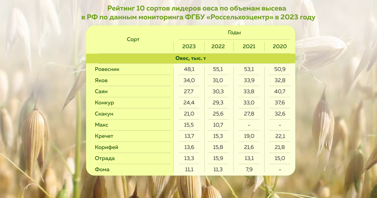 Россельхозцентр представил рейтинг 10 сортов — лидеров овса по объемам высева в 2023 году на территории Российской Федерации.

🌾 Наиболее востребованы сорта ярового овса Ровесник, Яков и Саян.