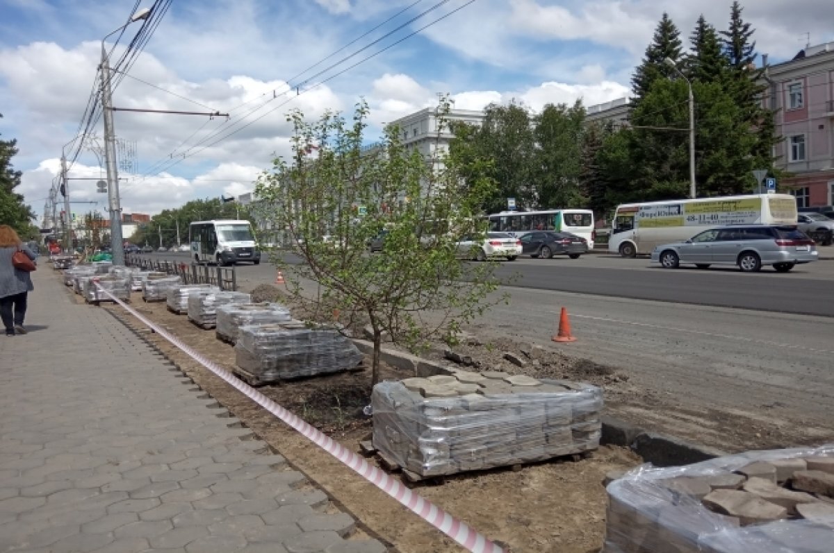    350 деревьев украсят отремонтированные дороги в Омске