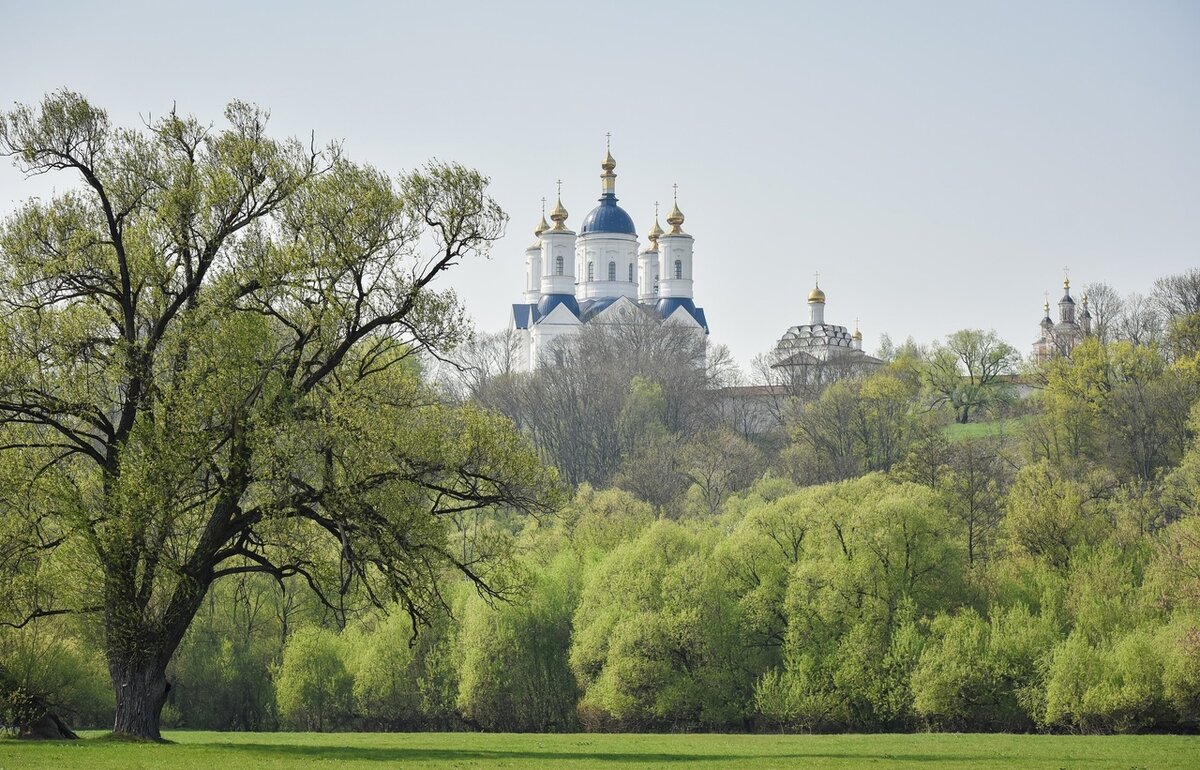 Природа брянска фото Пасха 2024 - когда отмечается в этом году и что потребуется для подготовки к пра