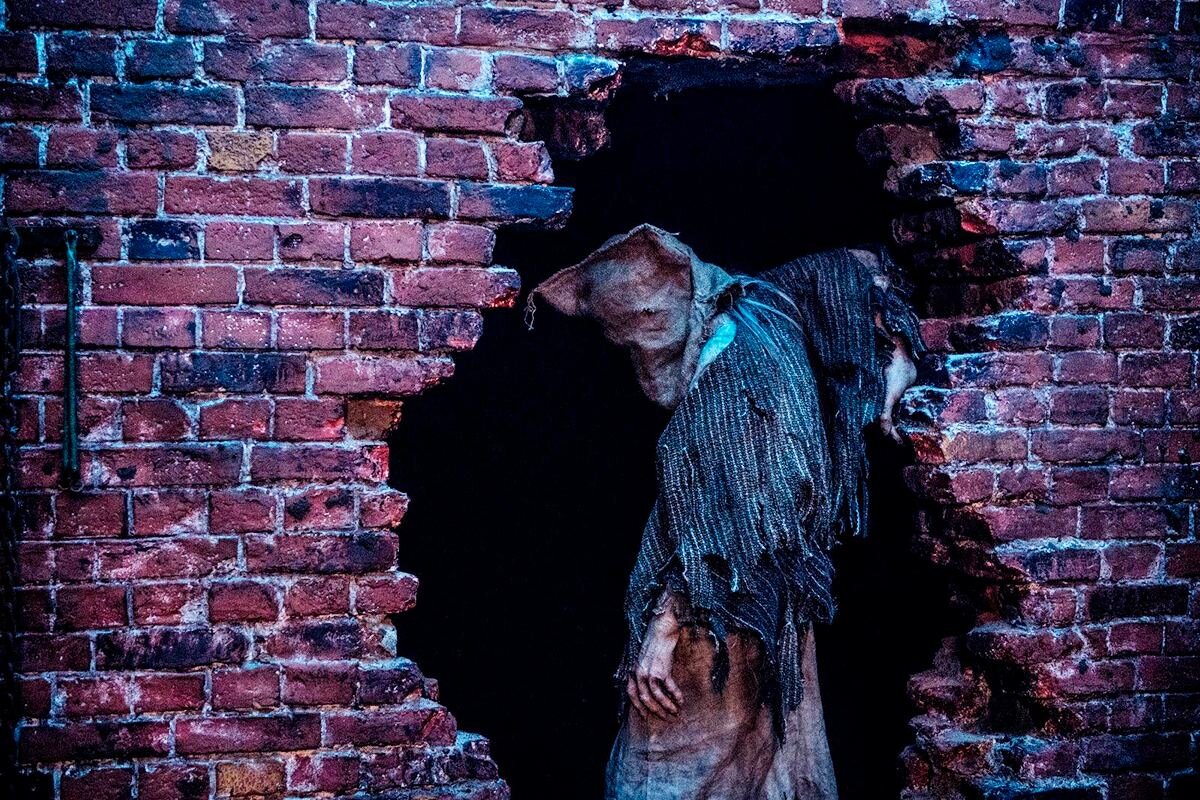 Обложка: © The Picture Company; Tonstudio Hanse Warns; Vertigo Entertainment