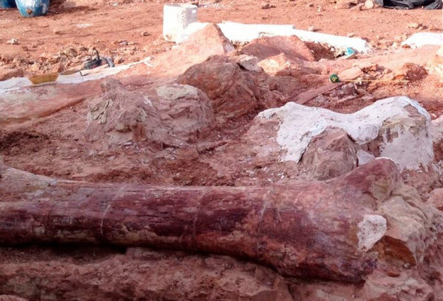 Раскопки древней мамонтов