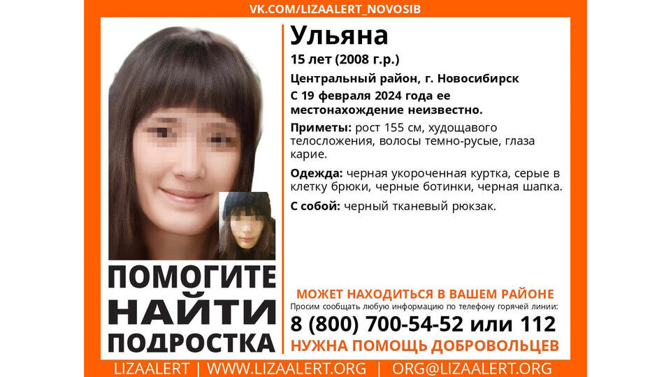 Фото: © Добровольческий поисково-спасательный отряд «ЛизаАлерт» Новосибирской области
