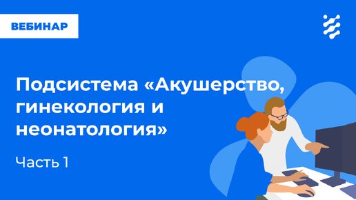 Подсистема «Акушерство, гинекология и неонатология». Часть 1