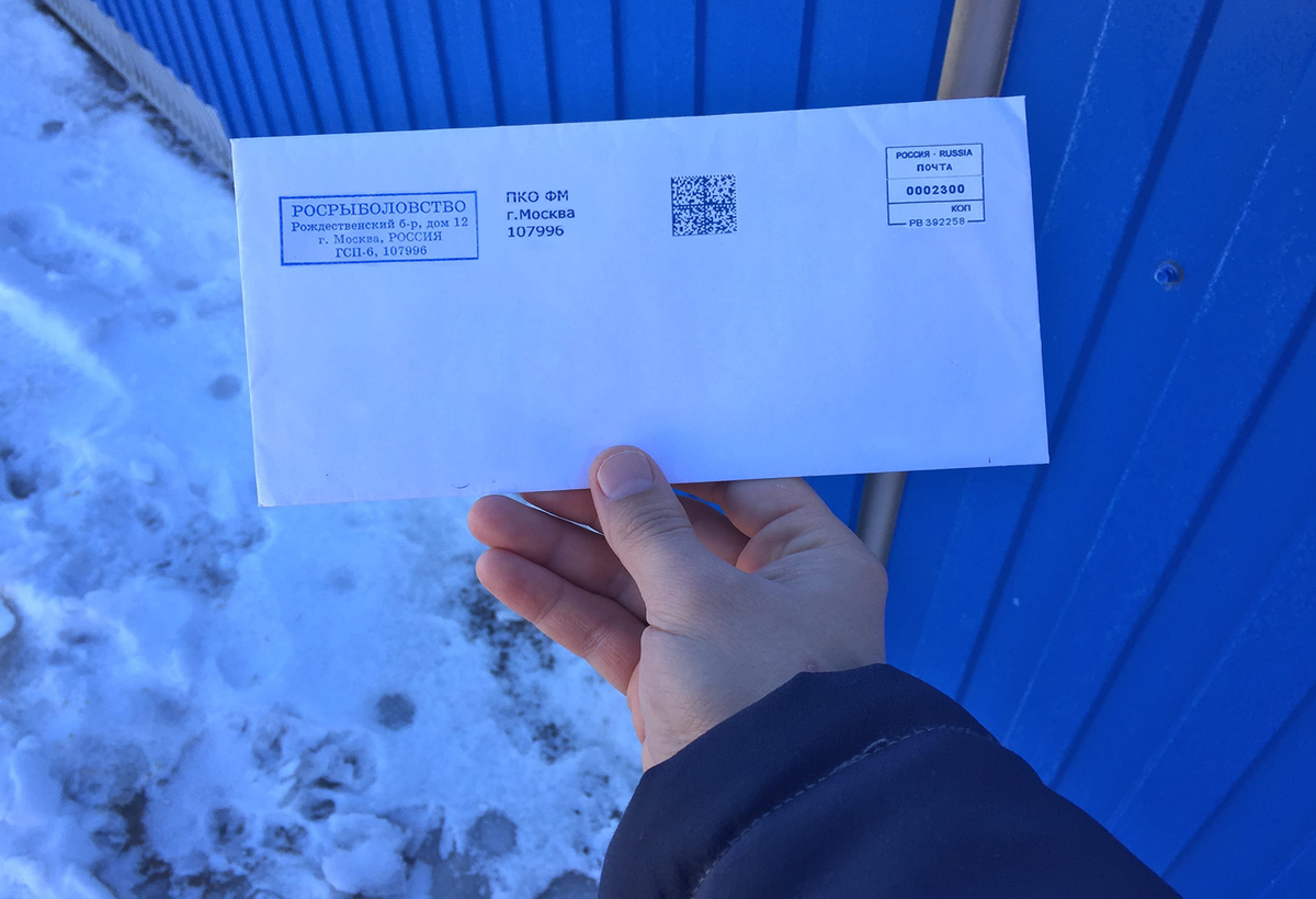 И вот, спустя почти месяц мне наконец-то пришло письмо с развёрнутым ответом.