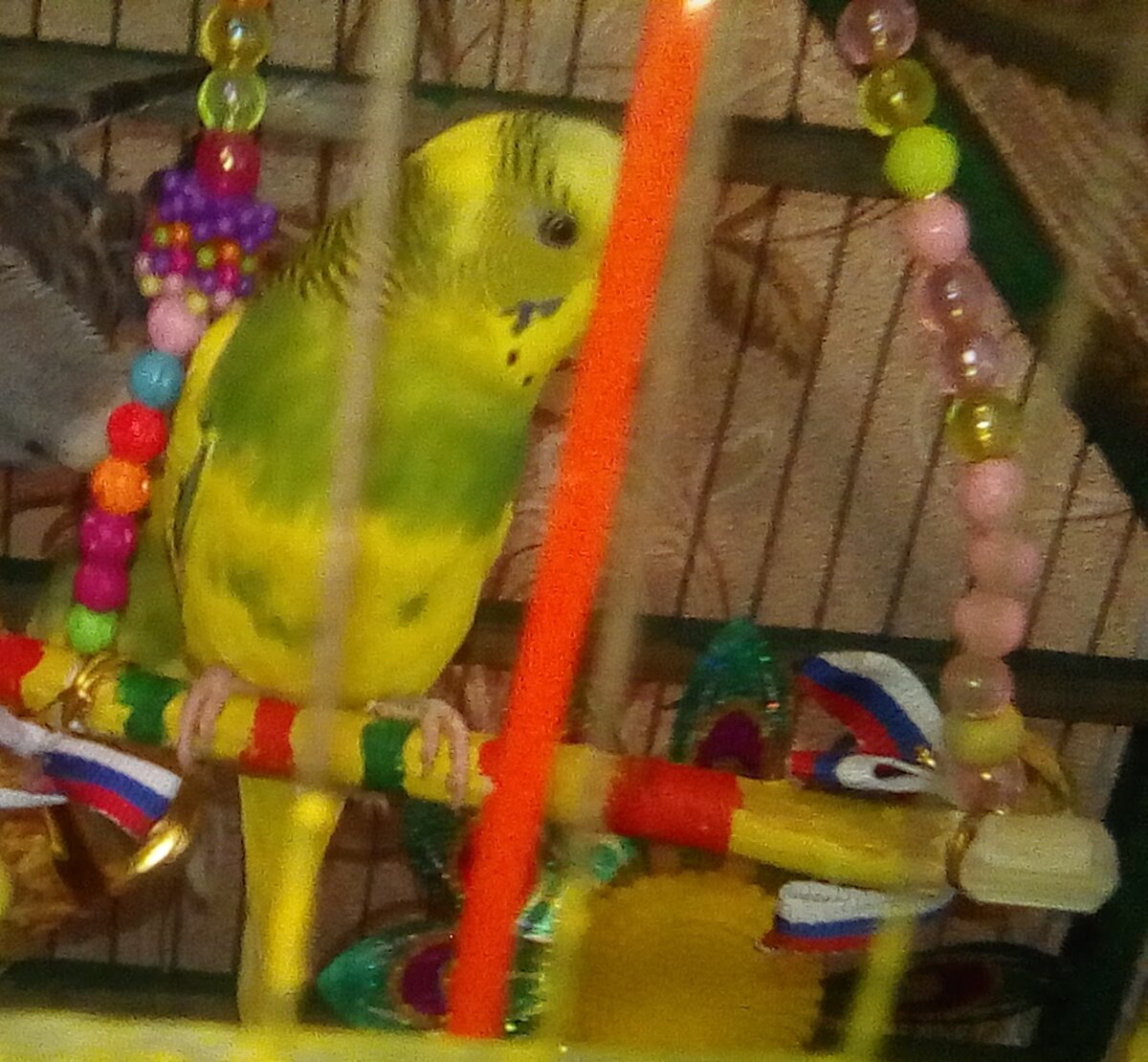 Любил подпевать под песню передачи "Спокойной ночи, малыши"