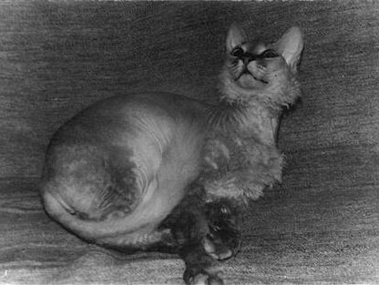 Чита в детстве