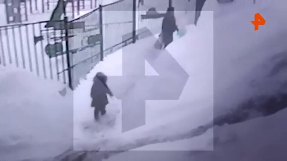 Фото: © Скриншот видео