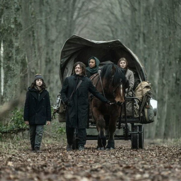     Сериал «Ходячие мертвецы: Дэрил Диксон» с Норманом Ридусом и Лукерьей Ильяшенко покажут в России