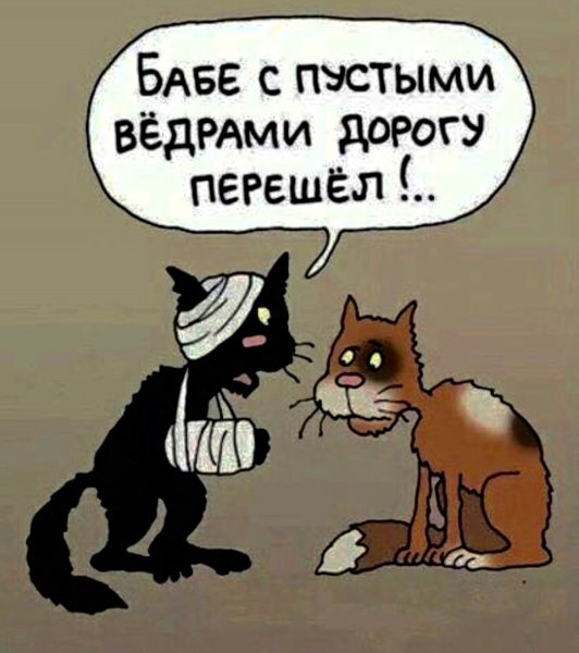Картинка из открытых источников "Черный кот перешел дорогу"