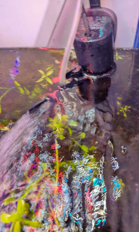 Aquael Turbo работает в таком поверхностном состоянии свой обычный цикл до промывки