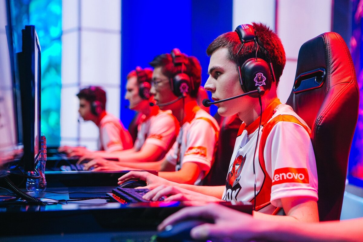 фото из открытых источников