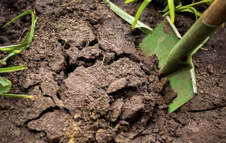 Сколько стоит привести в порядок запущенный участок и на чем можно ...