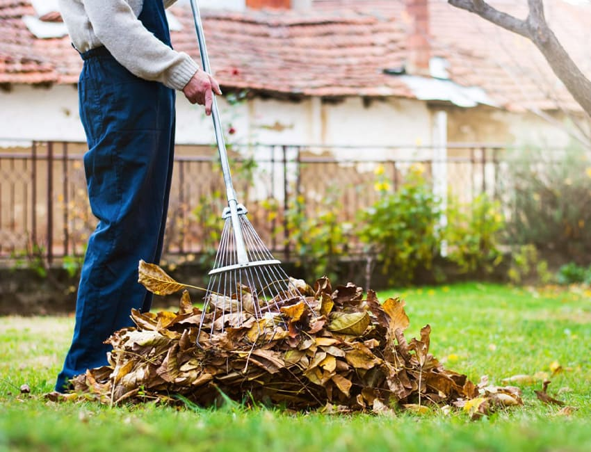 Изображение с сайта pushkino.master-servic.ru