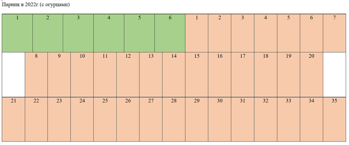Схема посадки в парнике 6мх3м в 2022г.