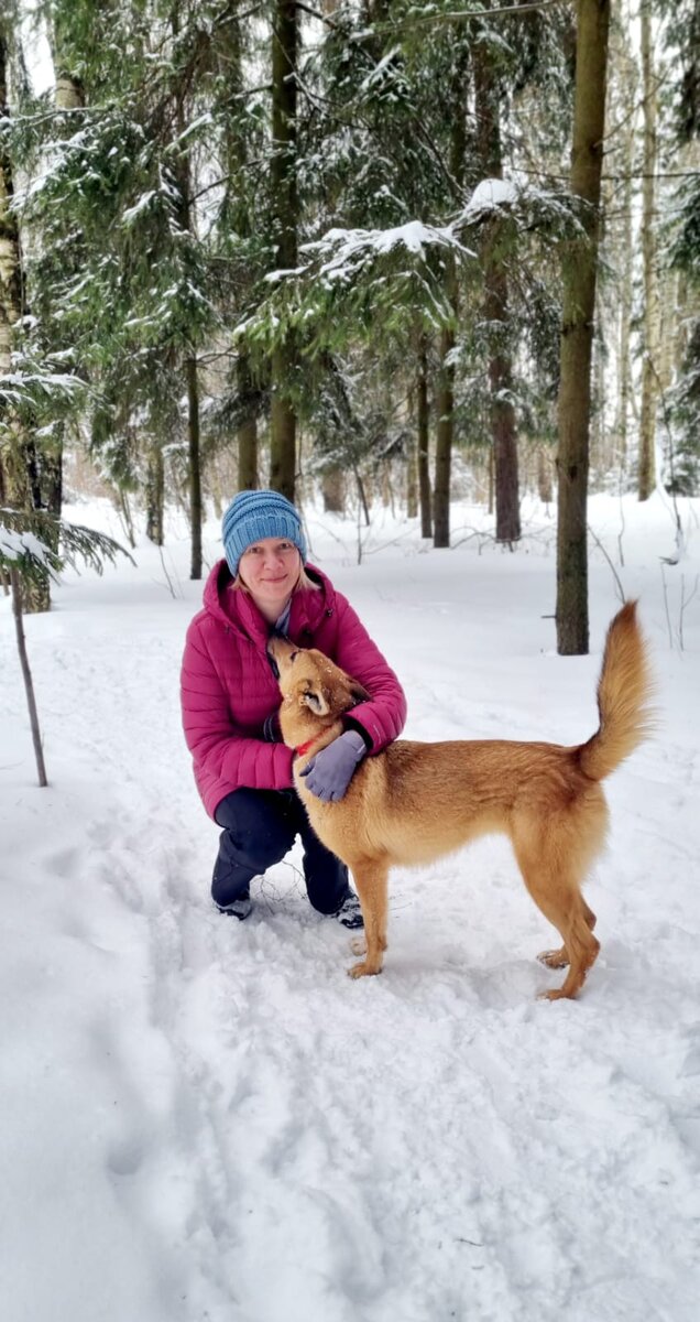 Шанти любит человека и доверяет ему. На прогулке в лесу с Ириной.