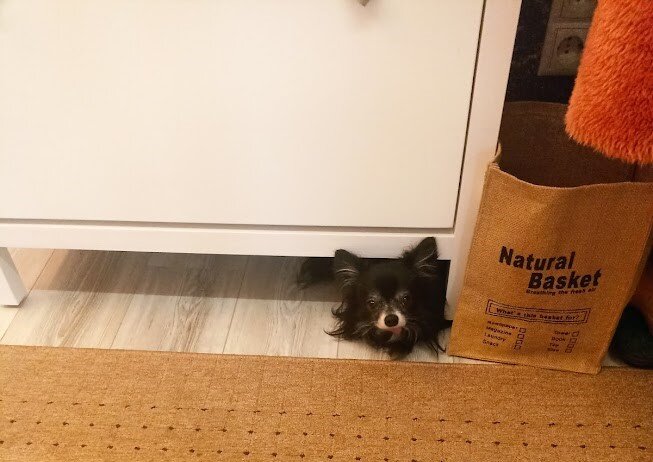 Ожидание не совпало.  Дальше 👉