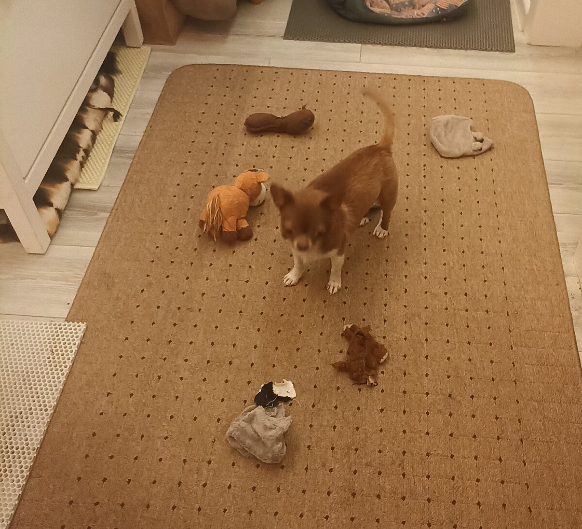 Прихожая стала похожа на игральную комнату