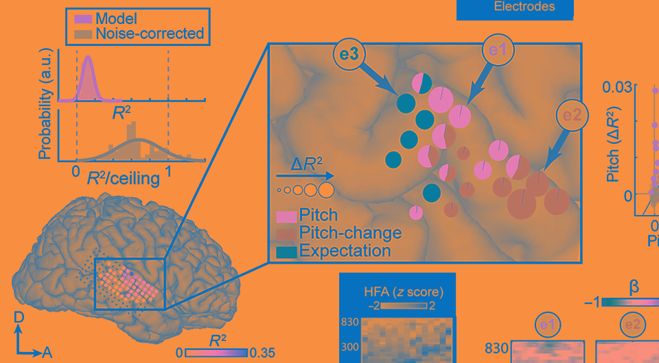   Narayan Sankaran et al. / Science Advances, 2024