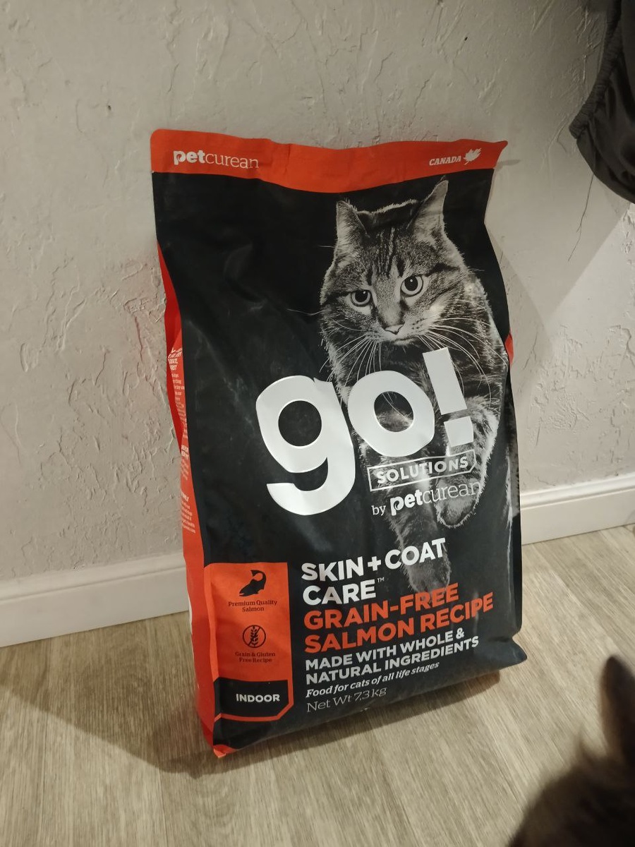 Little king корм для крыс. Доктор клаудер консервы для кошек. Исчезновение воробьев. Nestle purina фото с животными. Корм аллер петфуд для собак 15кг.