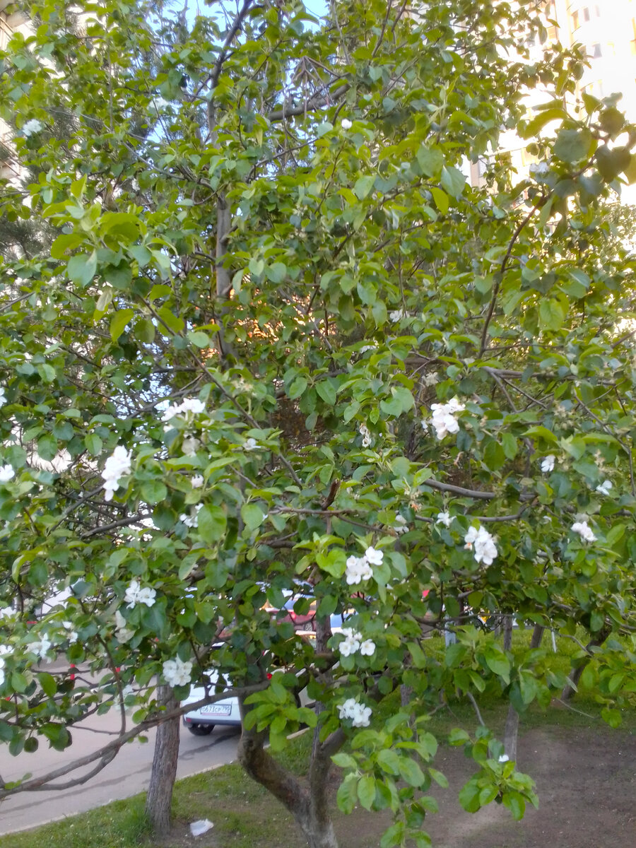 Фото к рассказу "Один день из жизни семиклассника" Автор рассказа и фото В.А.Галашевский